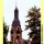 Imaging Germany 121: Evangelische Kirche, SAARLOUIS (SL)